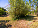 DSCF5600-HDR