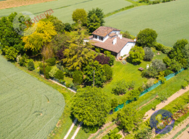 DJI_0161
