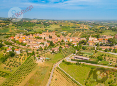 DJI_0205