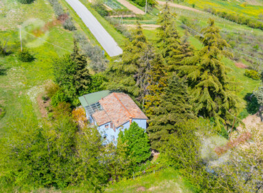 DJI_0756