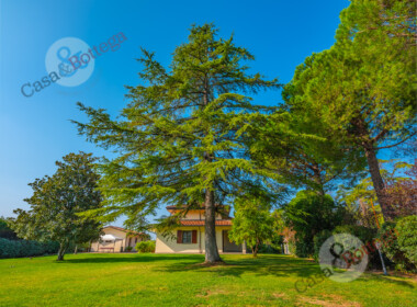 DSCF8683-HDR